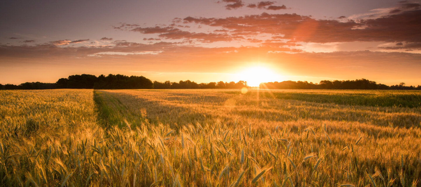 Arts Across the Heartland Special